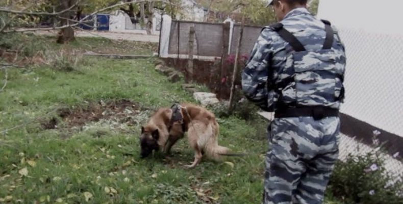 Атос, Шевкет и воровка: в Крыму служебный пес «раскрыл» кражу