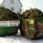 20 января жители Крыма смогут сдать новогодни елки (список пунктов приема)