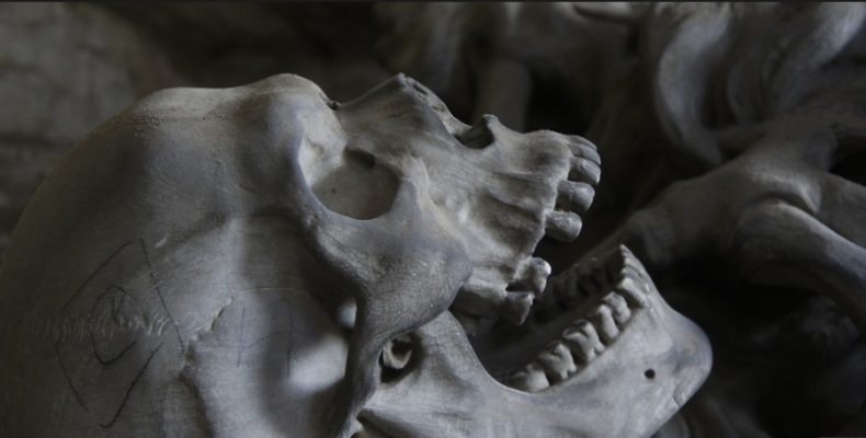 Страшная находка: в Евпатории на субботнике нашли скелет человека в мешке