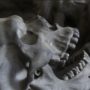 Страшная находка: в Евпатории на субботнике нашли скелет человека в мешке