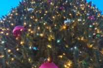 19 декабря в Ялте откроется главная новогодняя елка