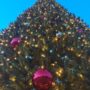 19 декабря в Ялте откроется главная новогодняя елка