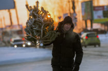 Кому в Крыму разрешено вырубать ёлки под Новый год?