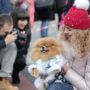 8 марта в Ялте пройдет променад-конкурс «Дама с собачкой»